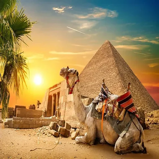 5 Day Cairo and Aswan Private Expedition with Luxor & Abu Simbel