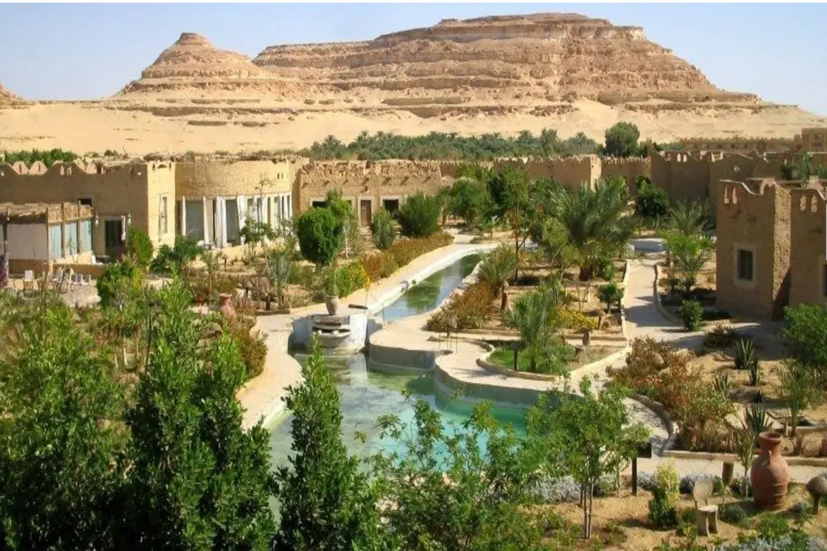 5-Day Private Trip to Siwa Oasis From Cairo & El Alamein
