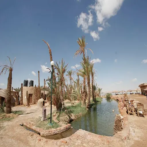 5-Day Private Trip to Siwa Oasis From Cairo & El Alamein