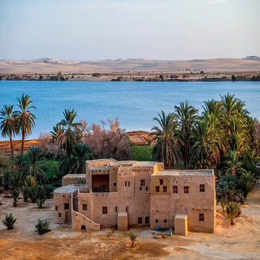 5-Day Private Trip to Siwa Oasis From Cairo & El Alamein