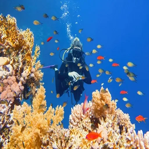 6-Day Cairo & Hurghada Honeymoon Tour
