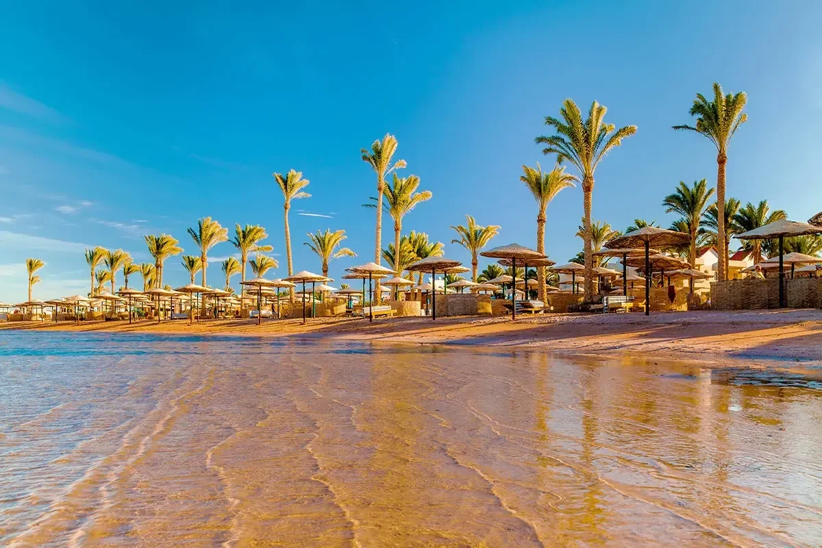 7 Day Cairo, Nile Cruise, and Hurghada Expedition