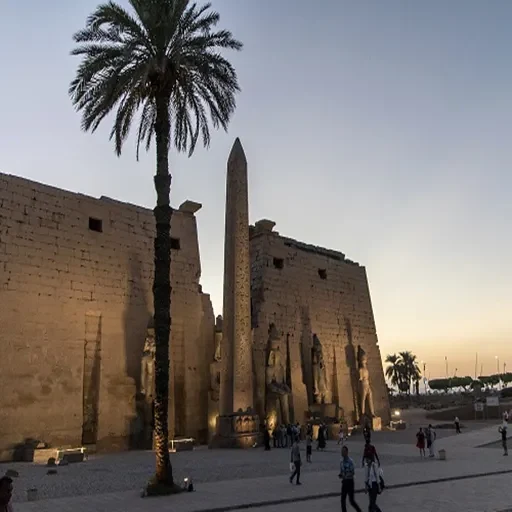 8 Day in Egypt Expedition to Cairo, Alexandria, Luxor, Aswan & Abu Simbel