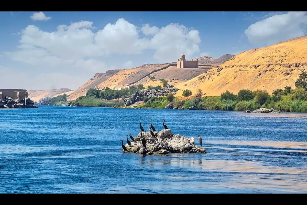 Private Bird Watching Tour in Aswan