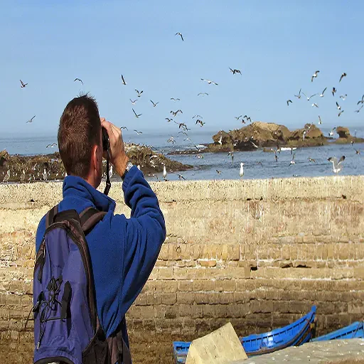 Private Bird Watching Tour in Aswan