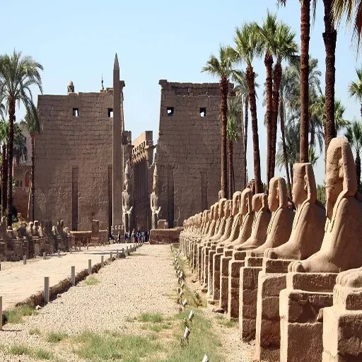 Luxury 5-Day Cruise From Luxor to Abu Simbel Experience