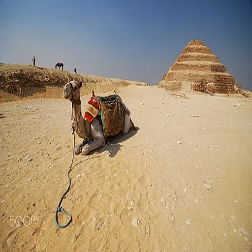 Private Day Tour to Cairo and the Pyramids Giza Plateau & Egyptian Museum