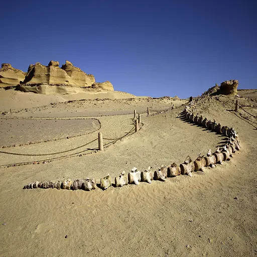 Private Wadi El Natroun Monastery From Cairo Tour
