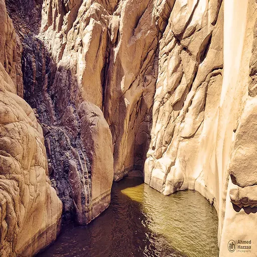Private Wadi El Natroun Monastery From Cairo Tour