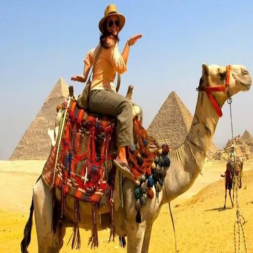 Private Day Trip Grand Egyptian Museum From Luxor by Flight & Giza Pyramids