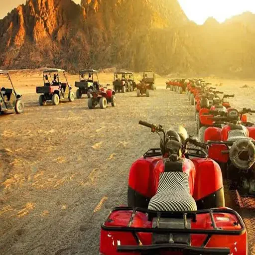 High-Energy Safari Trip by Quad Bike & Bedouin Village Discovery
