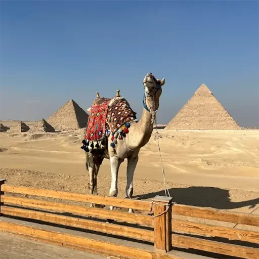 Private Hurghada to Grand Egyptian Museum & Giza Pyramids Day Tour