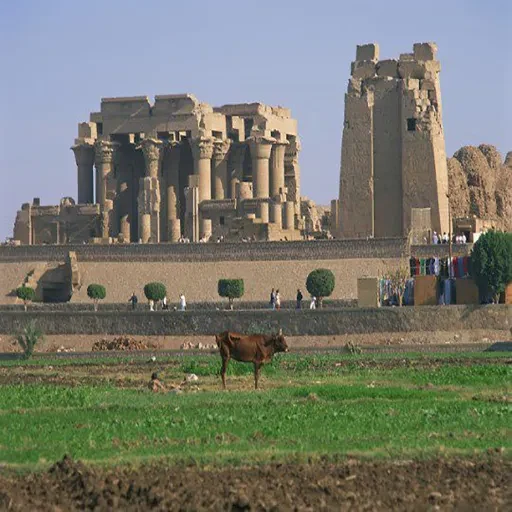 Exclusive Private Kom Ombo Tour Package & Edfu Temple Day Trip