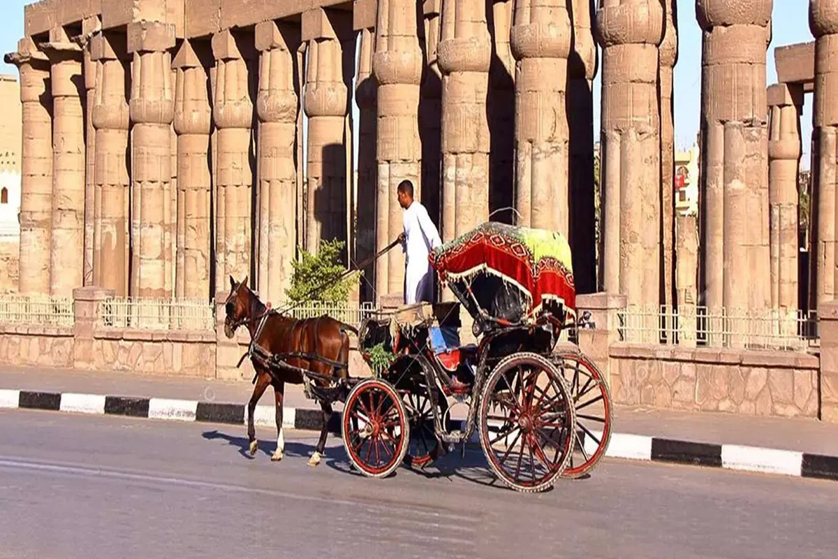 Romantic Luxor City Tour by Horse Carriage