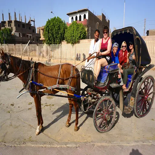 Romantic Luxor City Tour by Horse Carriage