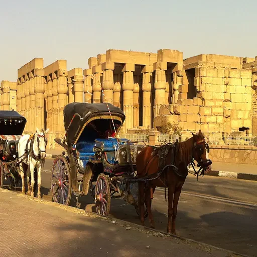Romantic Luxor City Tour by Horse Carriage
