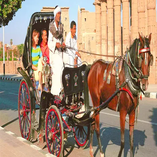 Romantic Luxor City Tour by Horse Carriage