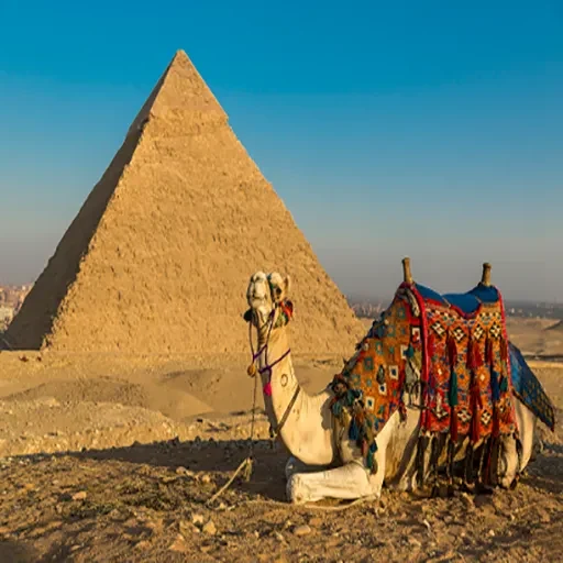 7-Day New Year Holiday in Egypt Explore Cairo Pyramids & Sharm El-Sheikh
