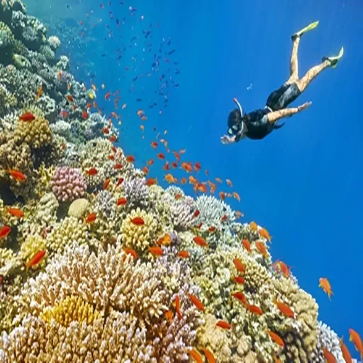 7-Day New Year Holiday in Egypt Explore Cairo Pyramids & Sharm El-Sheikh