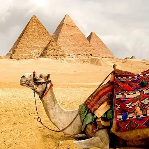 14-Day New Year to Hurghada Holiday Pyramids Nile Cruise & Red Sea Bliss
