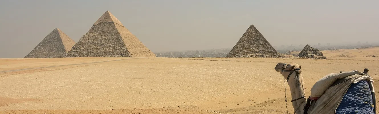 Private Cairo From Port Said Shore Excursion Giza Pyramids & Egyptian Museum