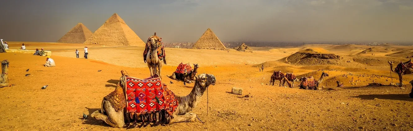 Private Port Said to Pyramids Shore Excursion Giza & Saqqara Day Tour