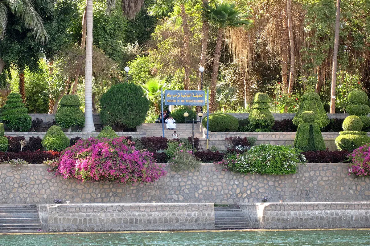 Private Day Tour to the Botanic Gardens and Botanical Museum