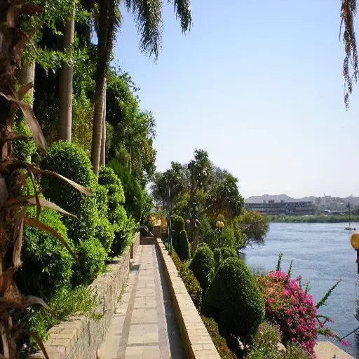 Private Day Tour to the Botanic Gardens and Botanical Museum
