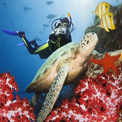 Elite Scuba Diving Sharm El Sheikh & Shipwreck Exploration