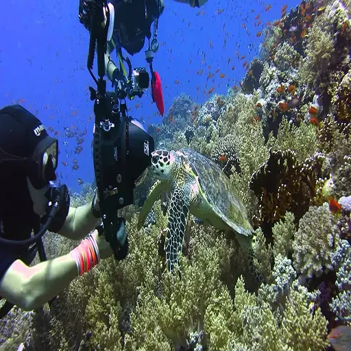Elite Scuba Diving Sharm El Sheikh & Shipwreck Exploration