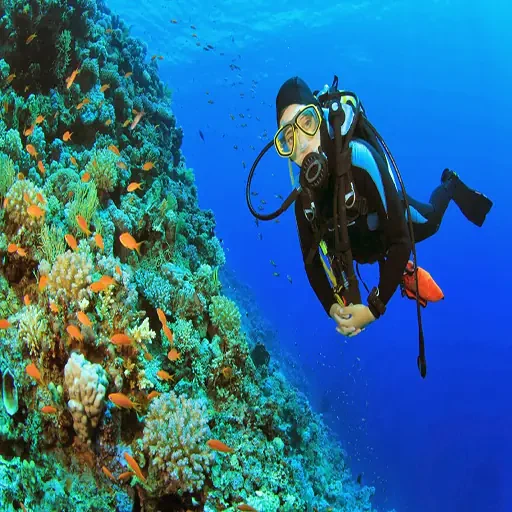 Elite Scuba Diving Sharm El Sheikh & Shipwreck Exploration