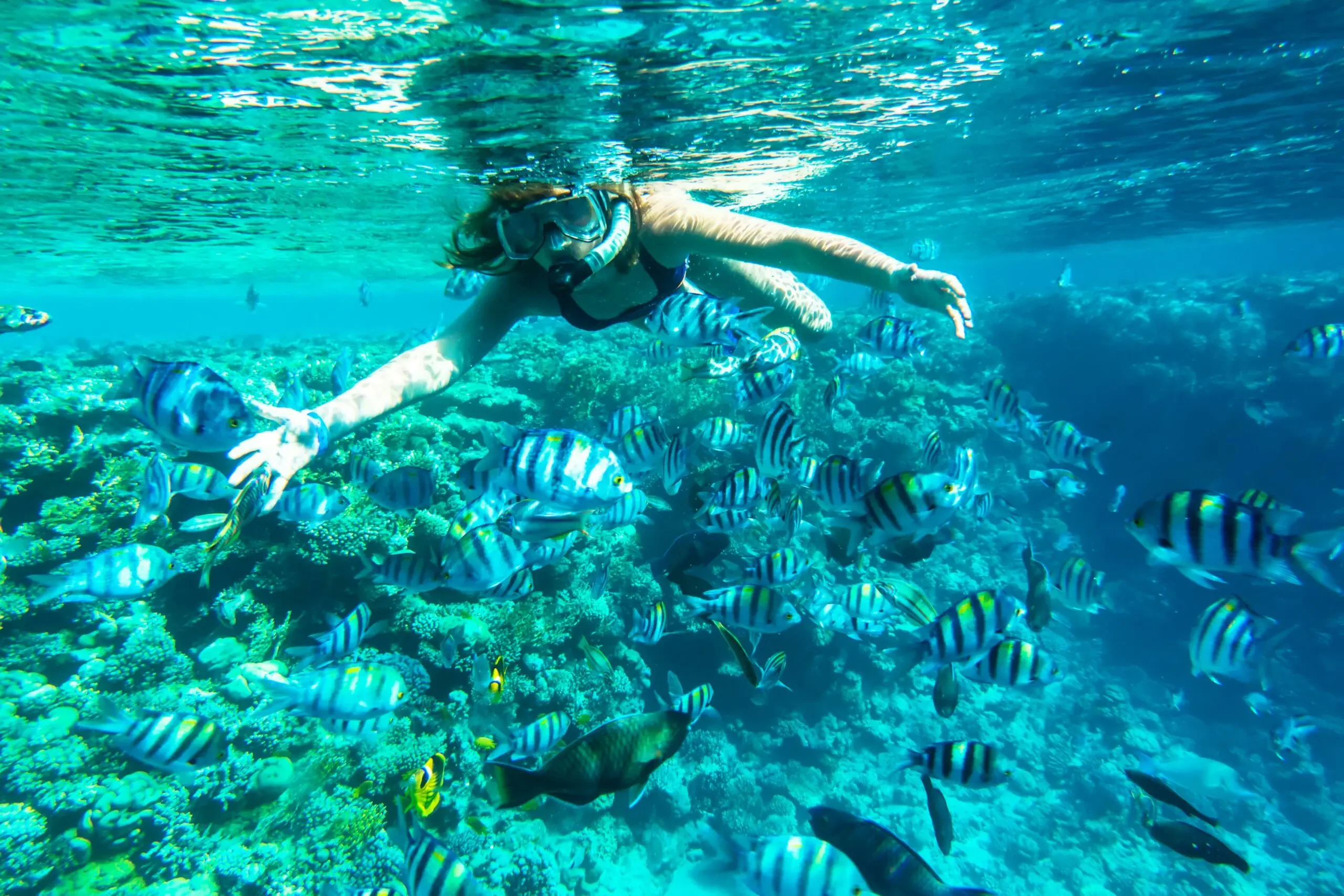 Elite Snorkeling at Mahmya Island | Premium Eco-Friendly Escape