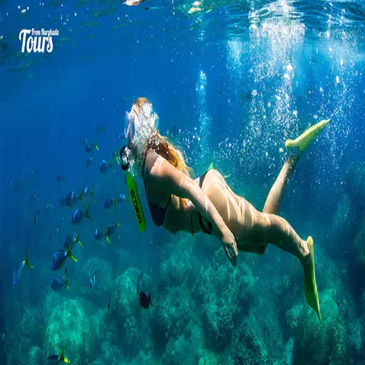 Elite Snorkeling at Mahmya Island | Premium Eco-Friendly Escape