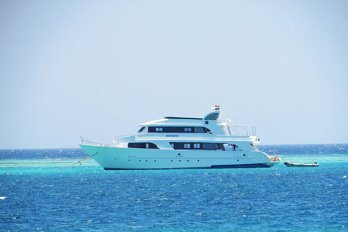 Elite Ras Mohamed Snorkeling and Marine Biodiversity Expedition
