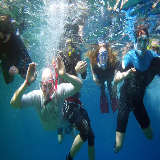 Elite Ras Mohamed Snorkeling and Marine Biodiversity Expedition