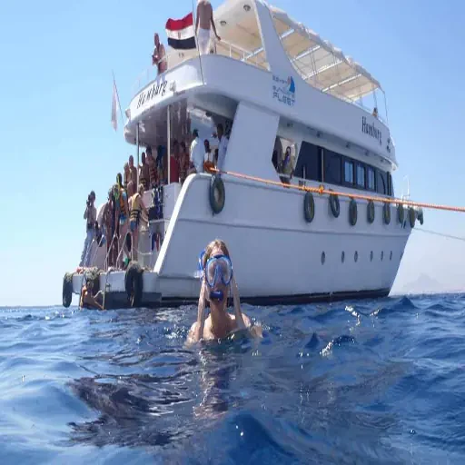 Elite Ras Mohamed Snorkeling and Marine Biodiversity Expedition
