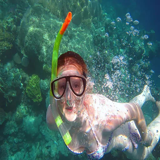 Elite Ras Mohamed Snorkeling and Marine Biodiversity Expedition