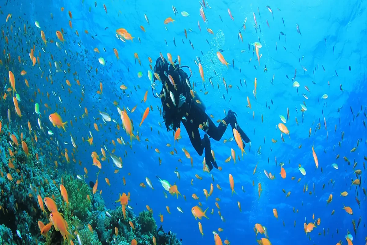 Private Port Ghalib Marina From Marsa Alam Snorkeling Trip