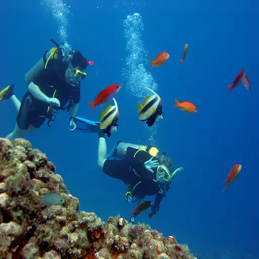 Private Port Ghalib Marina From Marsa Alam Snorkeling Trip
