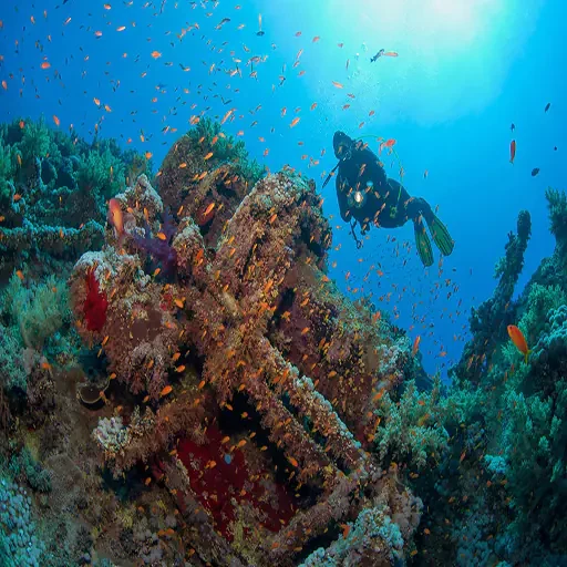 Private Port Ghalib Marina From Marsa Alam Snorkeling Trip