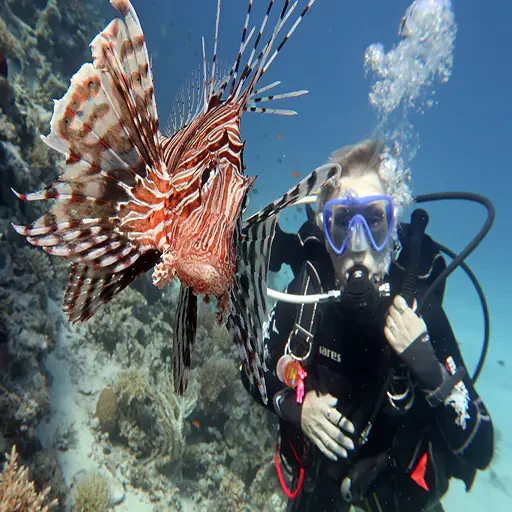 Private Port Ghalib Marina From Marsa Alam Snorkeling Trip