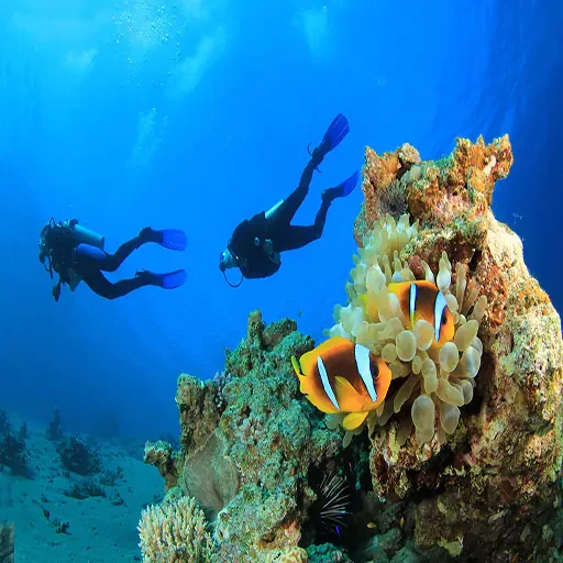 Private Port Ghalib Marina From Marsa Alam Snorkeling Trip