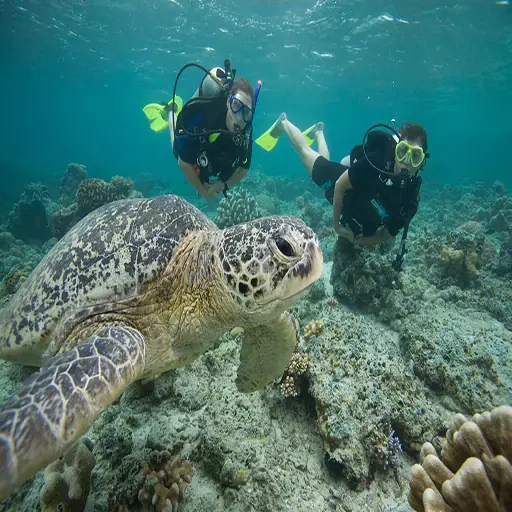 Private Port Ghalib Marina From Marsa Alam Snorkeling Trip