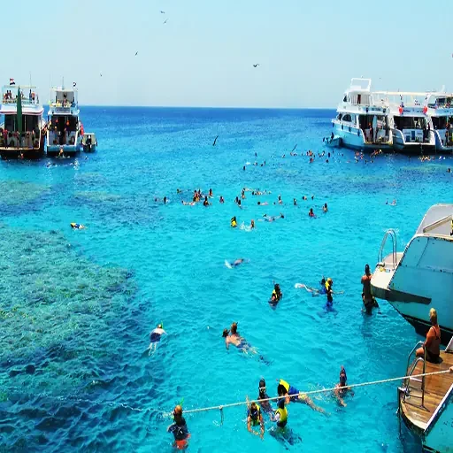 Private Snorkeling Trip & Excursion From Safaga Port to Giftun Island