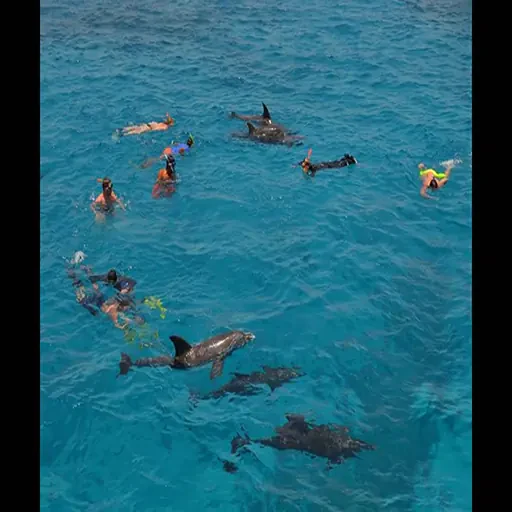 Private Snorkeling Trip & Excursion From Safaga Port to Giftun Island