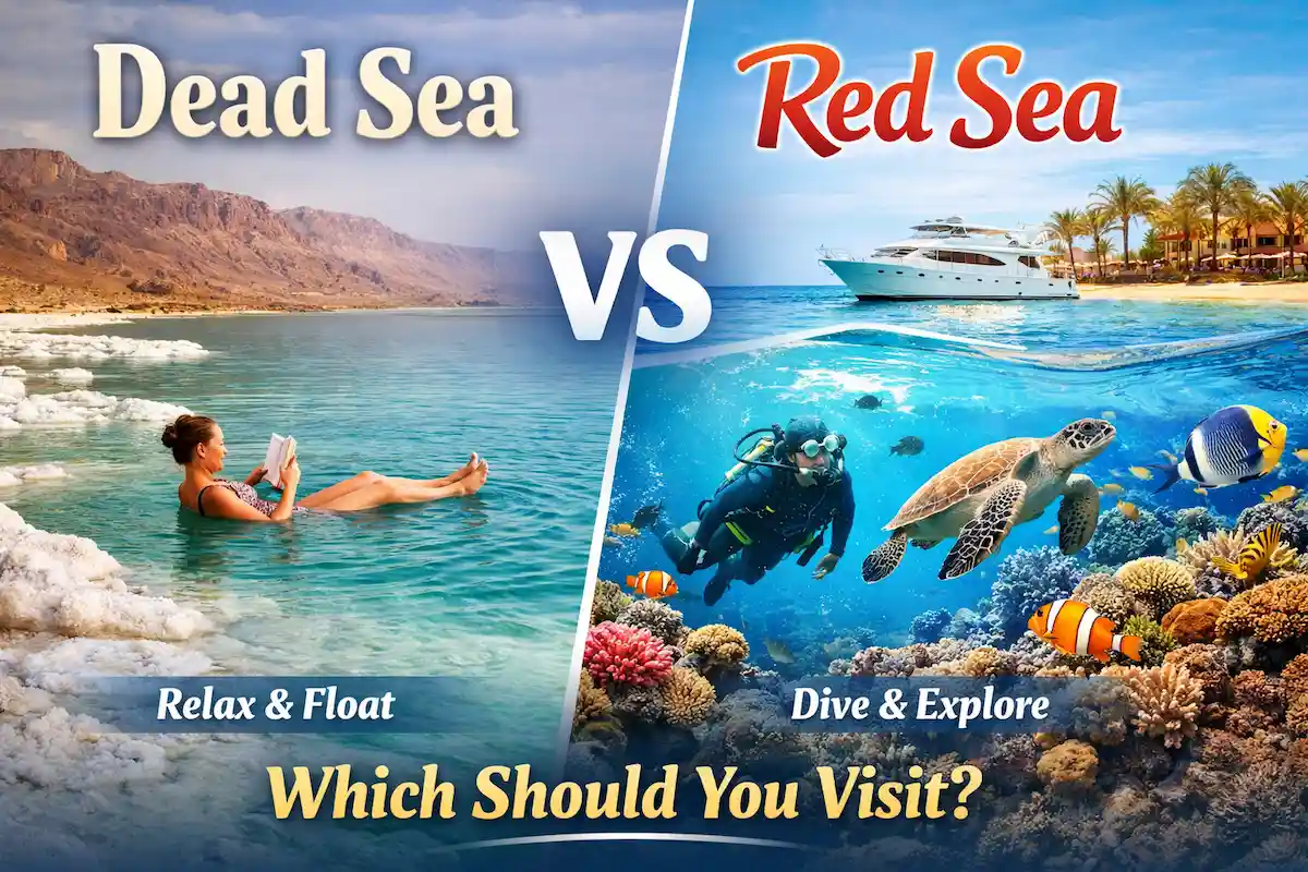 Dead Sea vs Red Sea: Which Should You Visit?