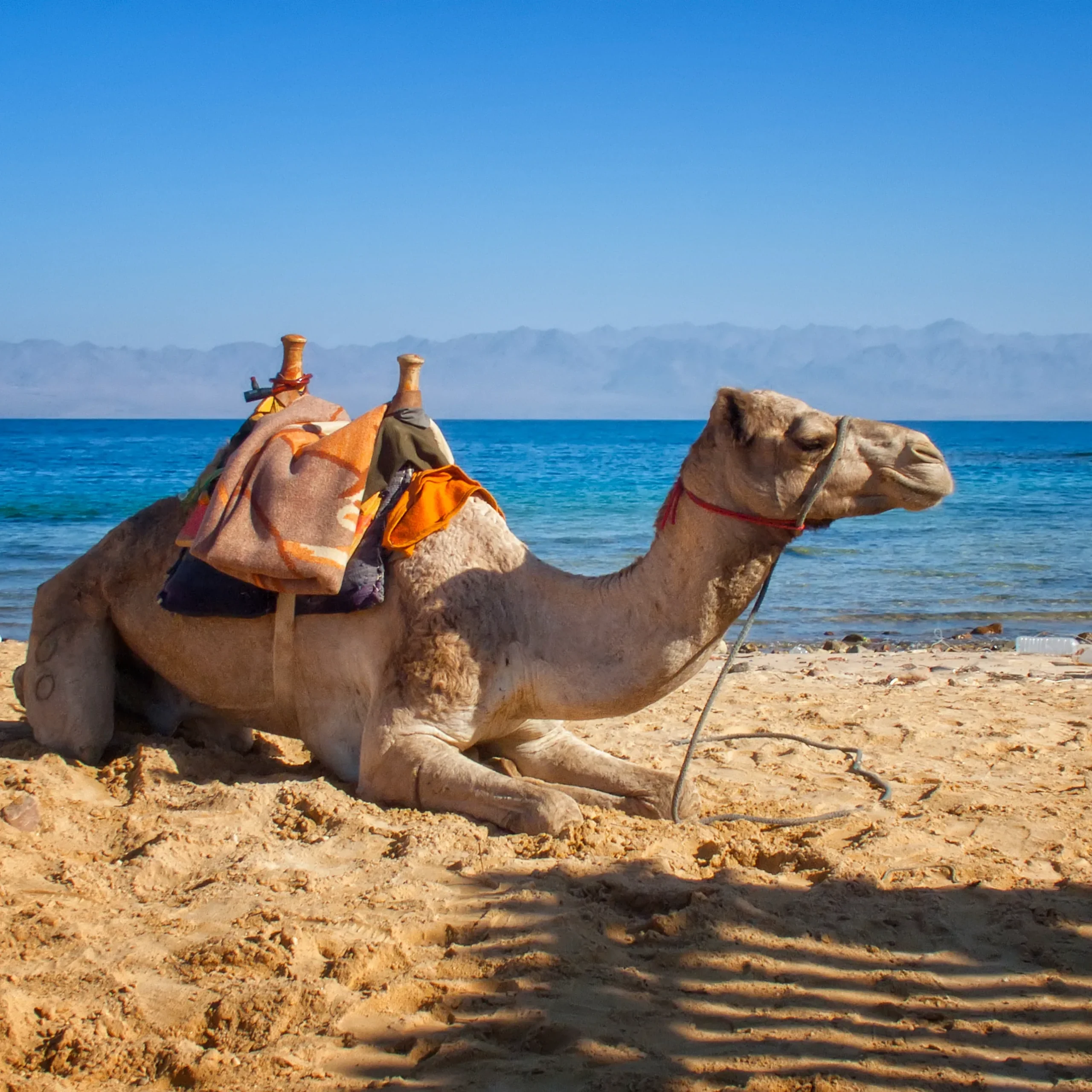 How Many Days Do You Need for an Egypt Easter Tour? Plan
