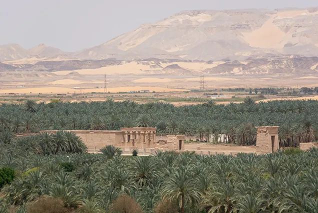 8 Day Cairo and Oasis Tour Packages | Bastet Travel