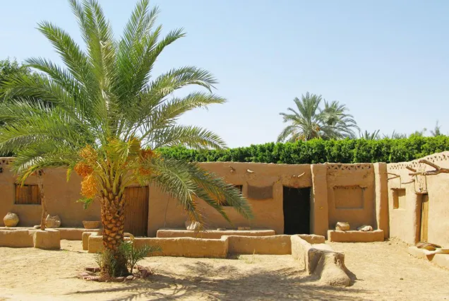 8 Day Cairo and Oasis Tour Packages | Bastet Travel