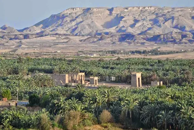 8 Day Cairo and Oasis Tour Packages | Bastet Travel